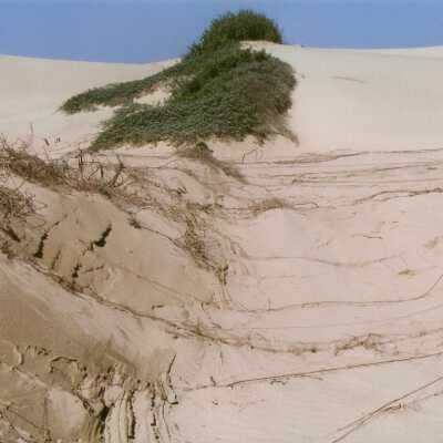 Oso Flaco Lake Color Photograph