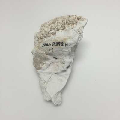 Hind Quarter of Sphinx, Ten Commandments