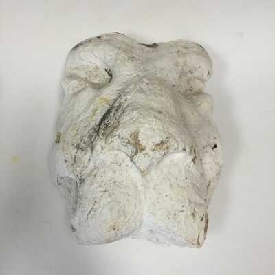 Statue; Lion Head From Pharaoh Chair