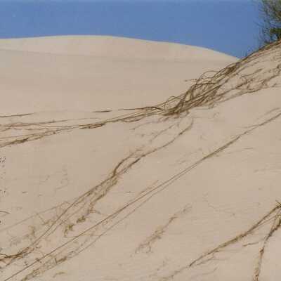Oso Flaco Lake Color Photograph