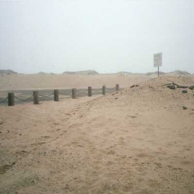 Guadalupe Dunes Preserve aka Rancho Guadalupe Beach County Park