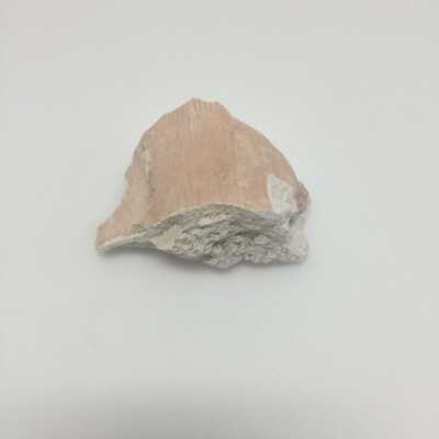 Hind Quarter of Sphinx, Ten Commandments