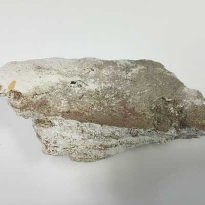 Parts of Albin's (Shpinx) body, no head attached, Ten Commandments