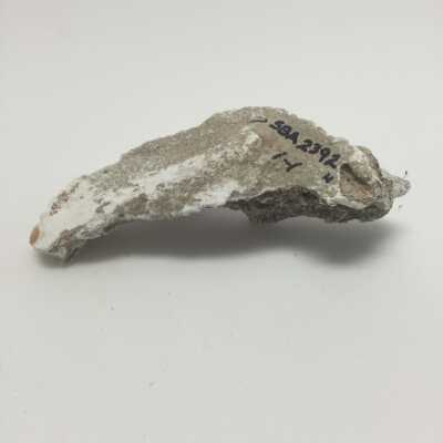 Hind Quarter of Sphinx, Ten Commandments