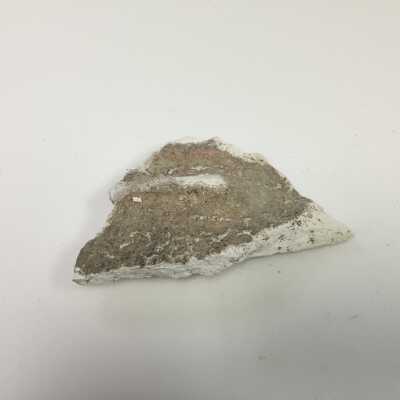 Parts of Albin's (Shpinx) body, no head attached, Ten Commandments