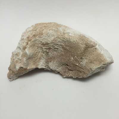 Sculpture - Misc