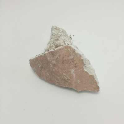 Hind Quarter of Sphinx, Ten Commandments