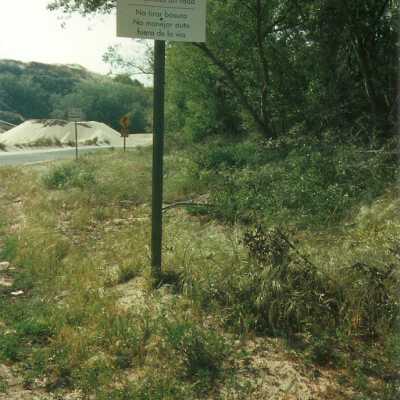 Guadalupe Dunes Preserve aka Rancho Guadalupe Beach County Park