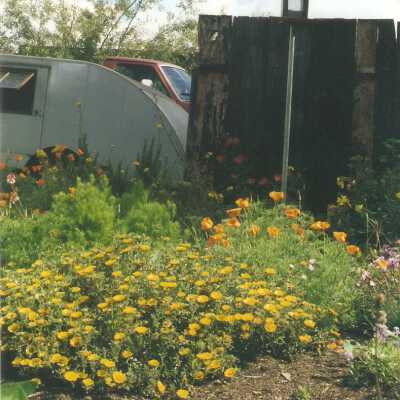Dunes Discovery Center garden 5/98.