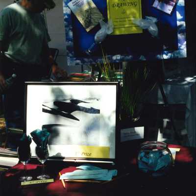 Dunes Center Booth at the San Luis Obispo Botanical Garden Festival May 2001 by R