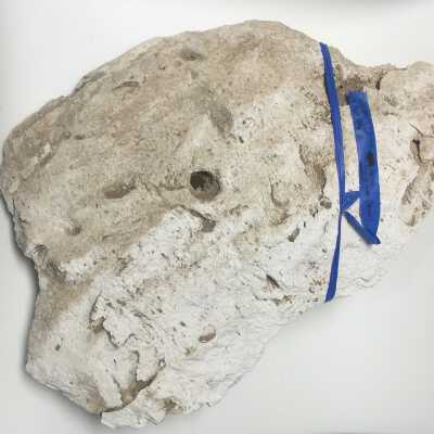 Parts of Albin's (Shpinx) body, no head attached, Ten Commandments