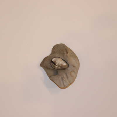 Rock With Imbedded Clam Shell