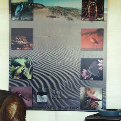 Dunes Center Booth at the San Luis Obispo Botanical Garden Festival May 2001 by R