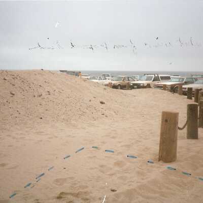 Guadalupe Dunes Preserve aka Rancho Guadalupe Beach County Park