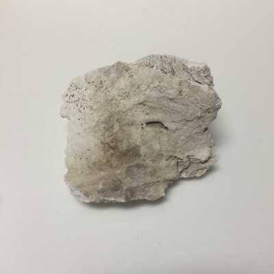 Parts of Albin's (Shpinx) body, no head attached, Ten Commandments