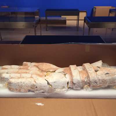 Hand after being shipped to Hammer Museum