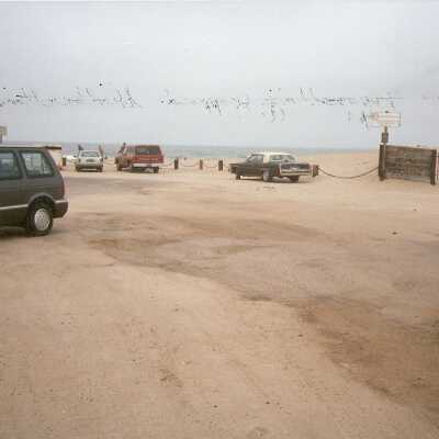 Guadalupe Dunes Preserve aka Rancho Guadalupe Beach County Park