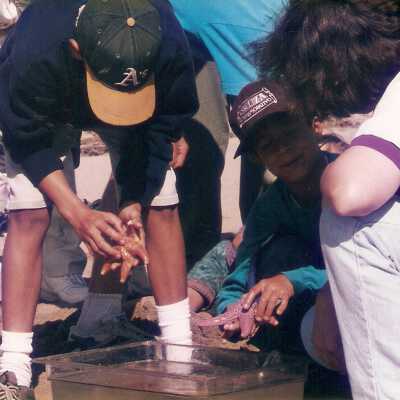Family Day 9/95 Station #7
