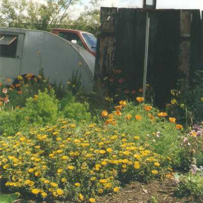 Dunes Discovery Center garden 5/98.