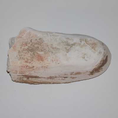 Large plaster hand, Ten Commandments
