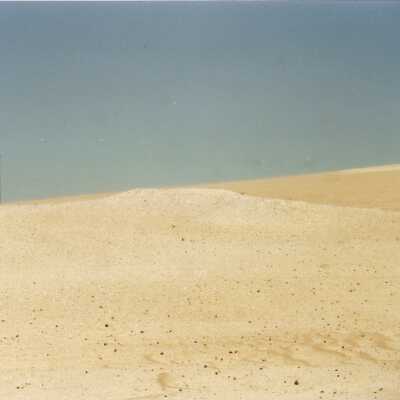 Guadalupe Dunes Preserve aka Rancho Guadalupe Beach County Park
