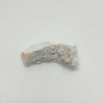 Hind Quarter of Sphinx, Ten Commandments