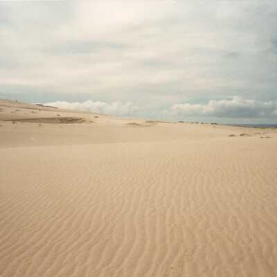 Guadalupe Dunes Preserve aka Rancho Guadalupe Beach County Park