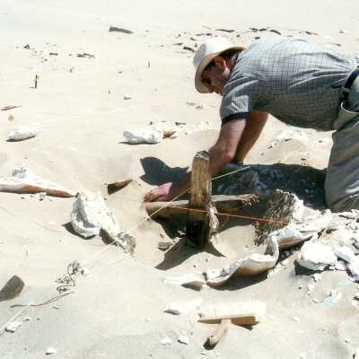 1997 Ten commandments excavation. Unearthing burried wooden and plaster pieces.