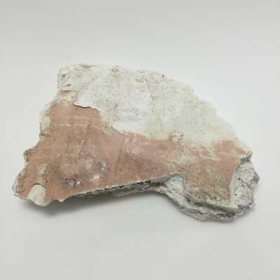 Hind Quarter of Sphinx, Ten Commandments