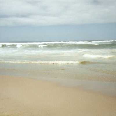 Guadalupe Dunes Preserve aka Rancho Guadalupe Beach County Park