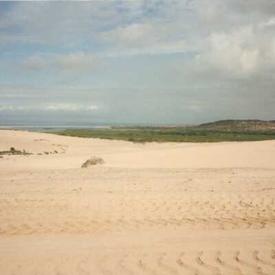 Guadalupe Dunes Preserve aka Rancho Guadalupe Beach County Park