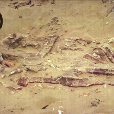 1997 Ten Commandments excavation. Man digging up sphinx.