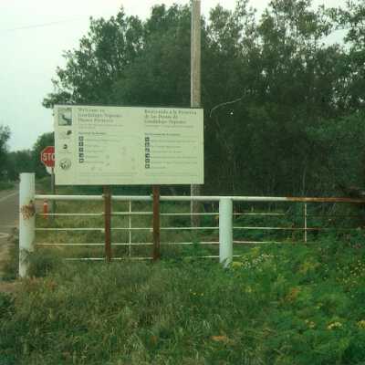 Guadalupe Dunes Preserve aka Rancho Guadalupe Beach County Park