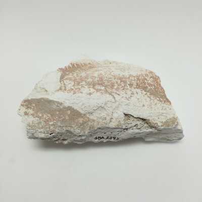 Hind Quarter of Sphinx, Ten Commandments