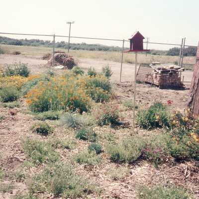 Dunes Discovery Center garden 10/96.