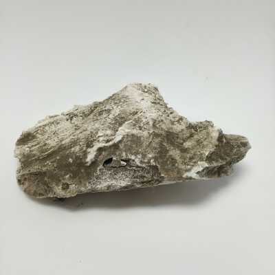 Hind Quarter of Sphinx, Ten Commandments