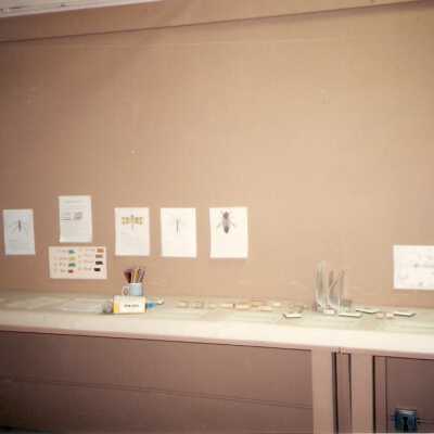 Dunes Discovery Center grand opening 10/13/96