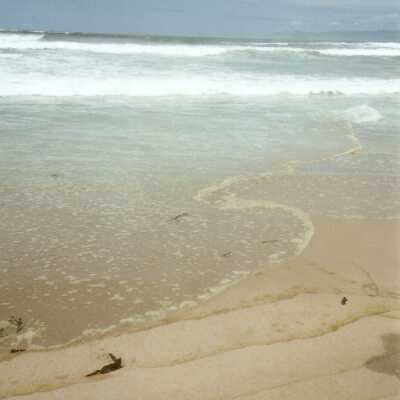 Guadalupe Dunes Preserve aka Rancho Guadalupe Beach County Park