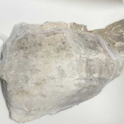 Parts of Albin's (Shpinx) body, no head attached, Ten Commandments