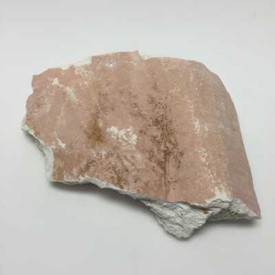 Hind Quarter of Sphinx, Ten Commandments