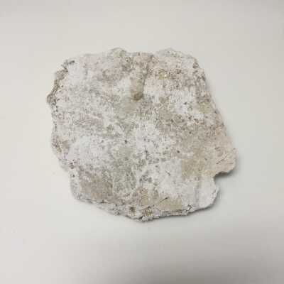 Parts of Albin's (Shpinx) body, no head attached, Ten Commandments