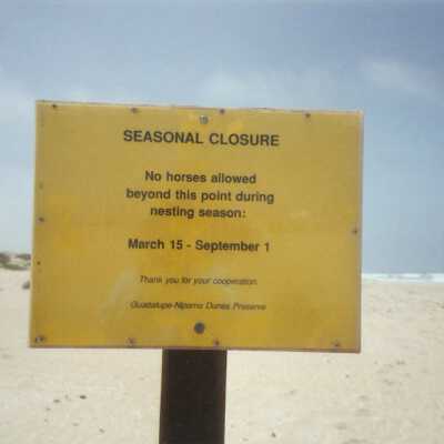 Guadalupe Dunes Preserve aka Rancho Guadalupe Beach County Park