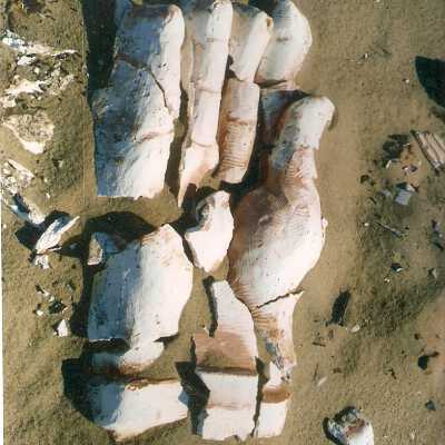 1997 Ten Commandments excavation. Pharoah hand being unearthed.