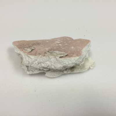 Hind Quarter of Sphinx, Ten Commandments