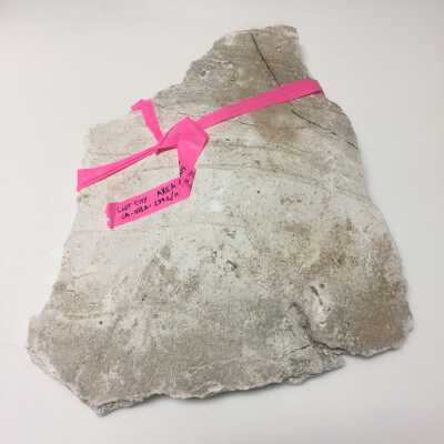Parts of Albin's (Shpinx) body, no head attached, Ten Commandments
