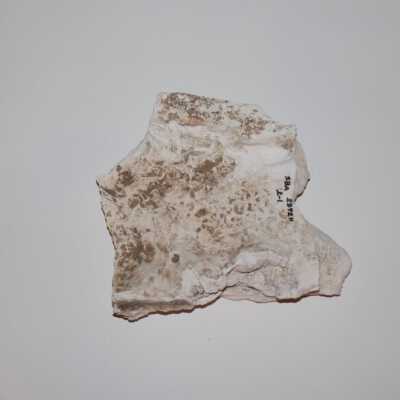 Large plaster hand, Ten Commandments