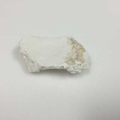 Hind Quarter of Sphinx, Ten Commandments