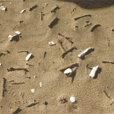 1997 Ten Commandments excavation. Small broken set pieces lying on surface of the dunes.