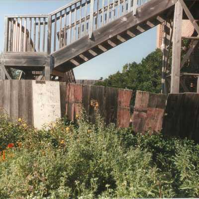 Dunes Discovery Center garden 6/98.
