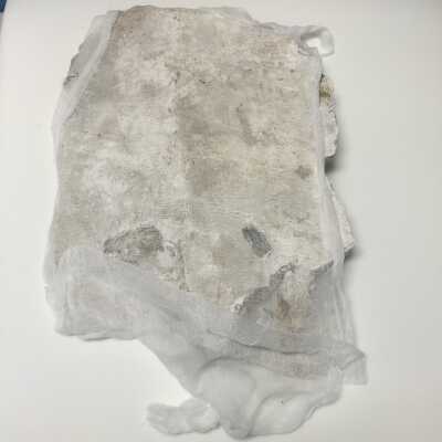 Parts of Albin's (Shpinx) body, no head attached, Ten Commandments